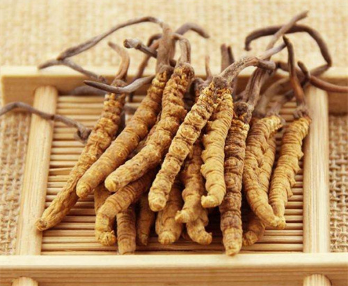 为什么花都虫草回收价格有的很低