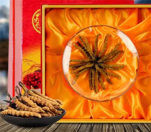 增城虫草回收一克多少钱