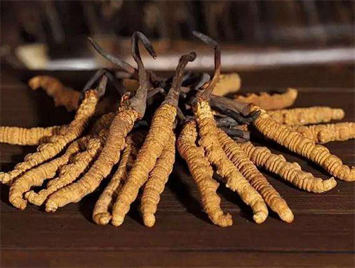 越秀冬虫夏草回收保质期是多久你知道吗