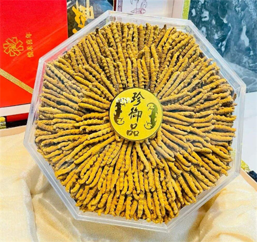 黄埔虫草回收的价格一般是多少