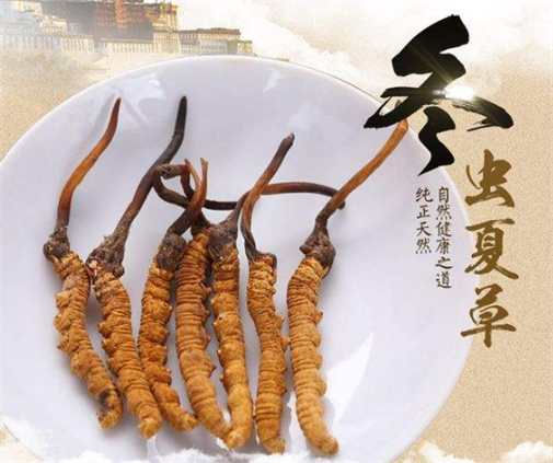 黄埔虫草回收的价格一般是多少