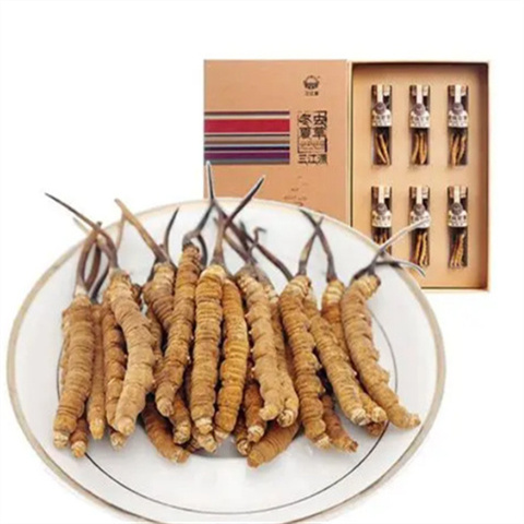 冬虫夏草的具体介绍