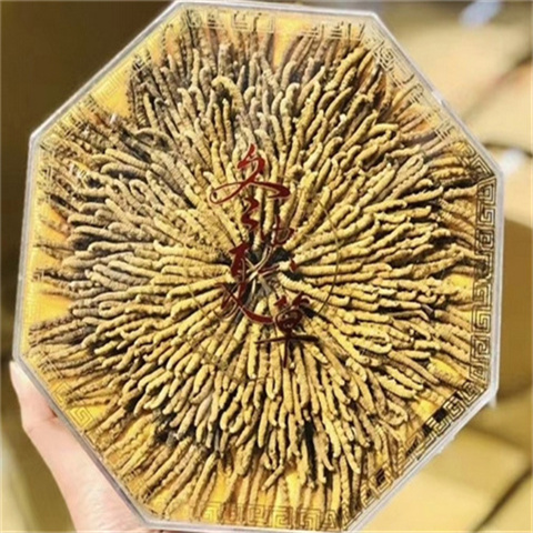 花都青海玉树冬虫夏草回收价格多少钱