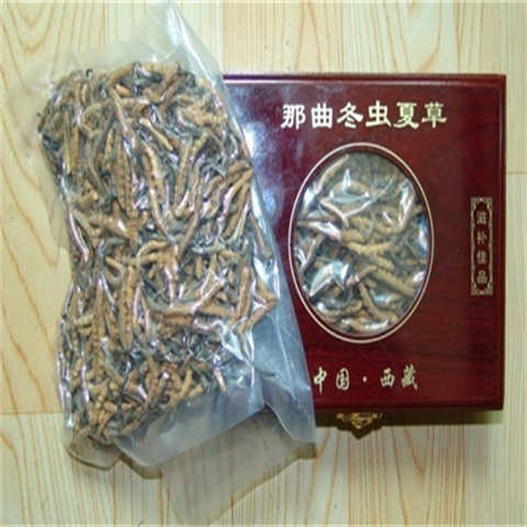 白云高价回收各种冬虫夏草价格一览表